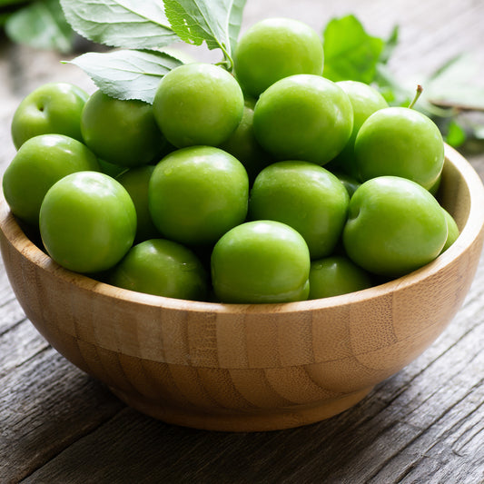 Pflaumenbaum 'Reine Claude Verte'