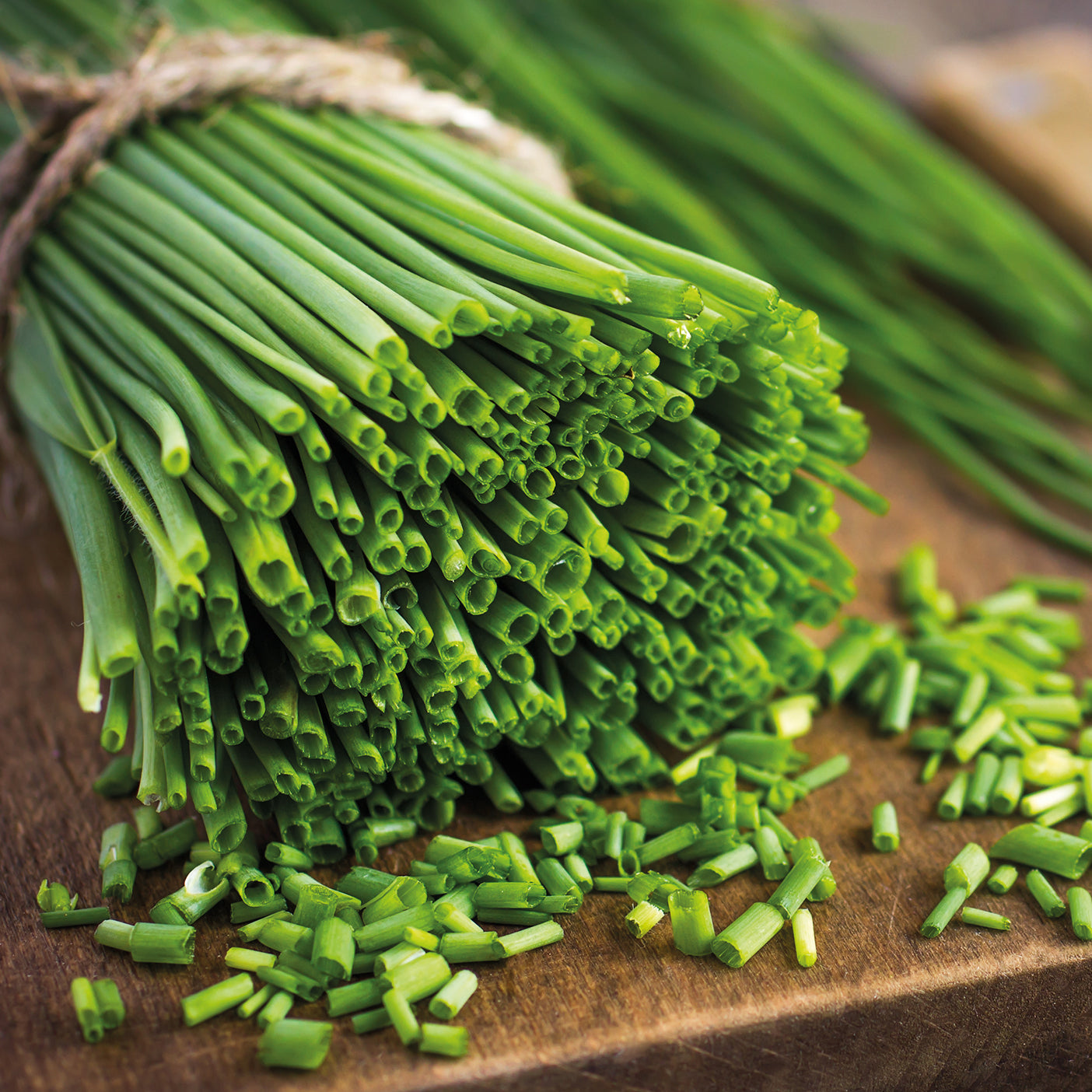 Kräuter Mischung (Petersilie, Basilikum, Kerbel, Schnittlauch) - Collection de fines herbes (persil, basilic, cerfeuil, ciboulette) - Gemüsegarten