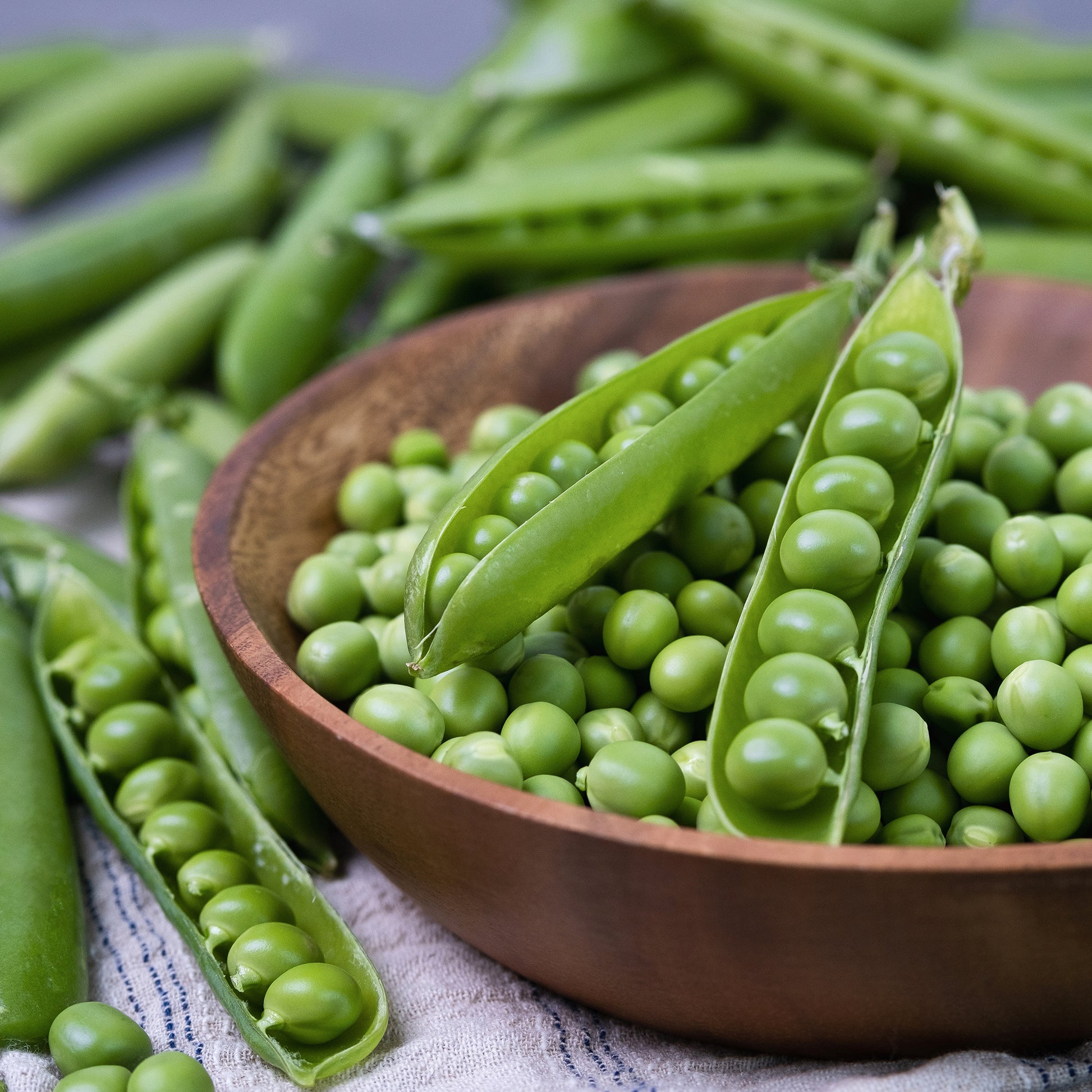 Gartenerbse Plein le panier - Bakker