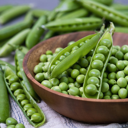 Gartenerbse Plein le panier - Bakker