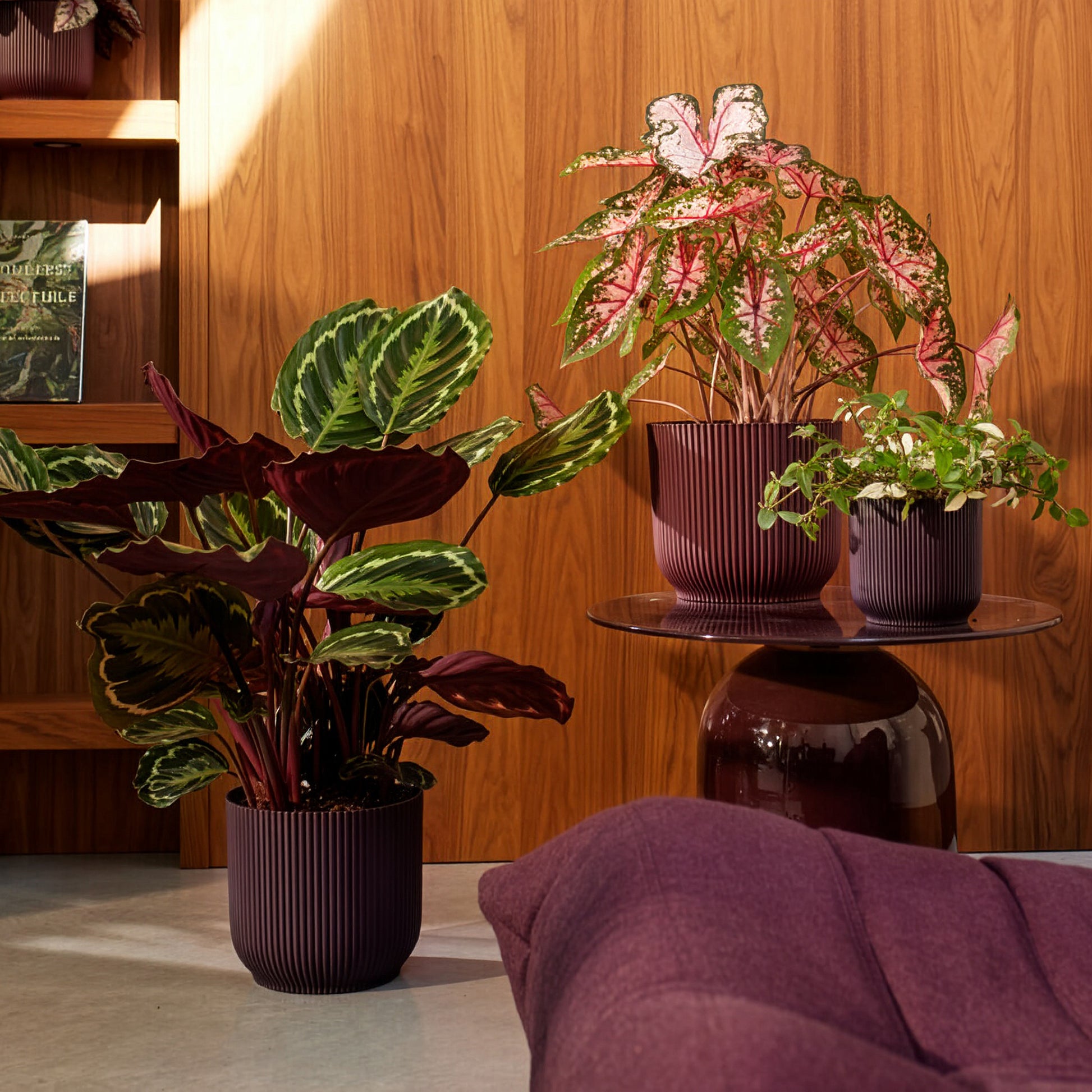  - Elho Blumentopf The Winery collection Bordeauxrot - Innenblumentöpfe und Übertopf