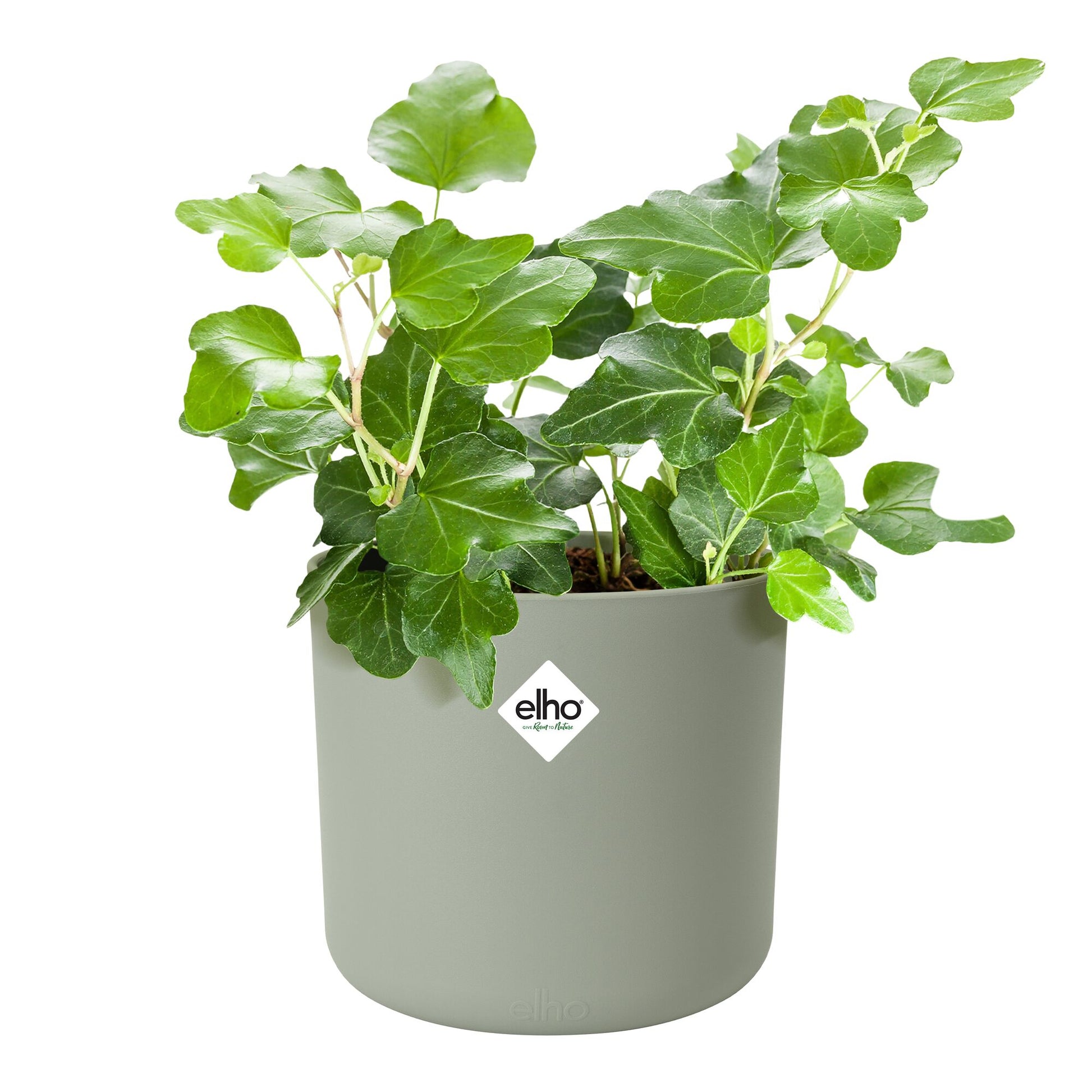 Elho Blumentopf B for soft rund steingrün -  - Bakker