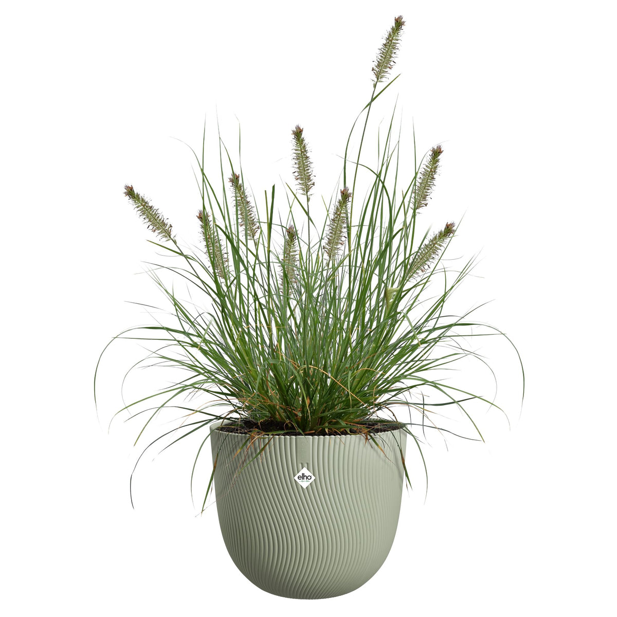 Blumentopf Sereh rund  skandinavisches grün -  - Bakker