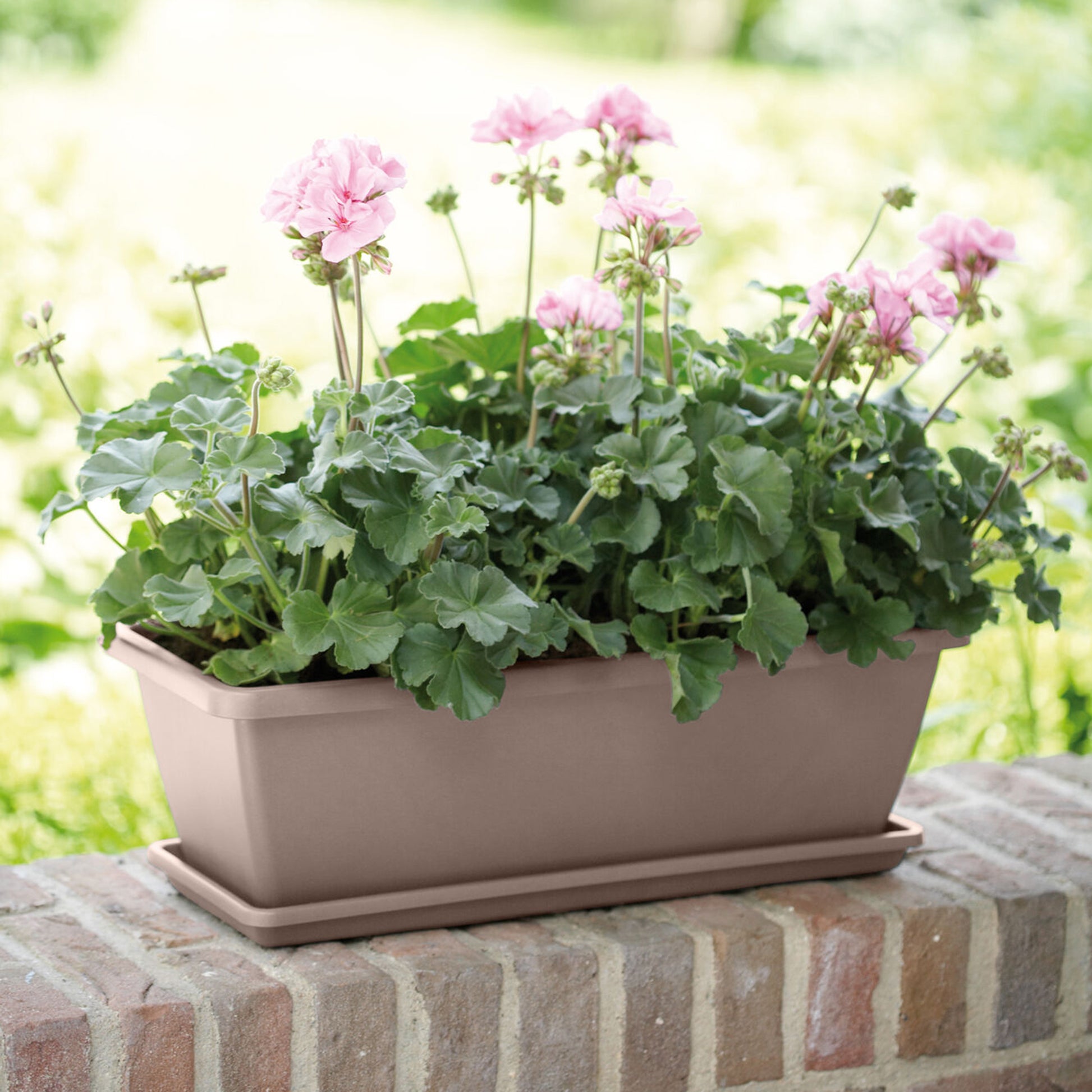 Barcelona Balkonkasten taupe - Bakker