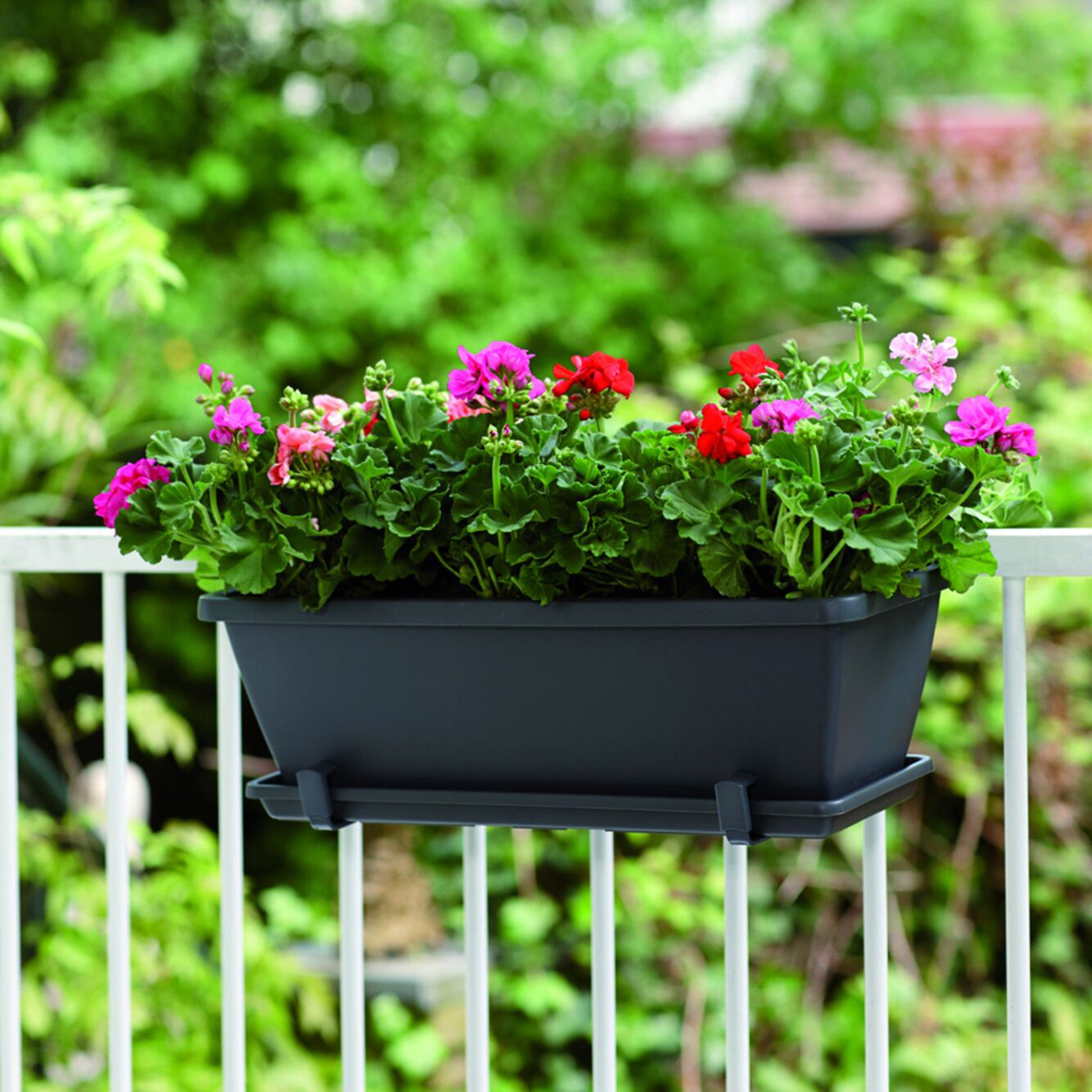 Barcelona Balkonkasten anthrazit - Bakker