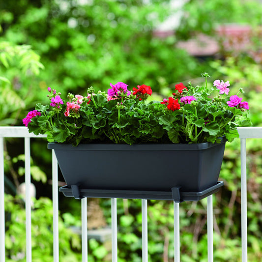 Barcelona Balkonkasten anthrazit - Bakker