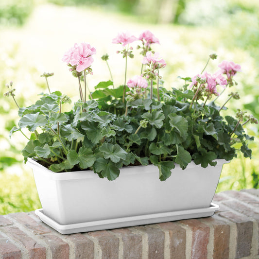 Barcelona Balkonkasten weiß Elho - Bakker