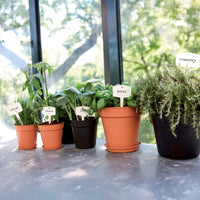 Außenblumentöpfe - Anzuchttopf Green Basics  Steingrün - 