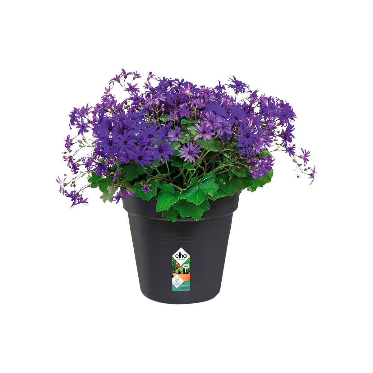  - Anzuchttopf Green Basics  Living Schwarz ELHO - Außenblumentöpfe