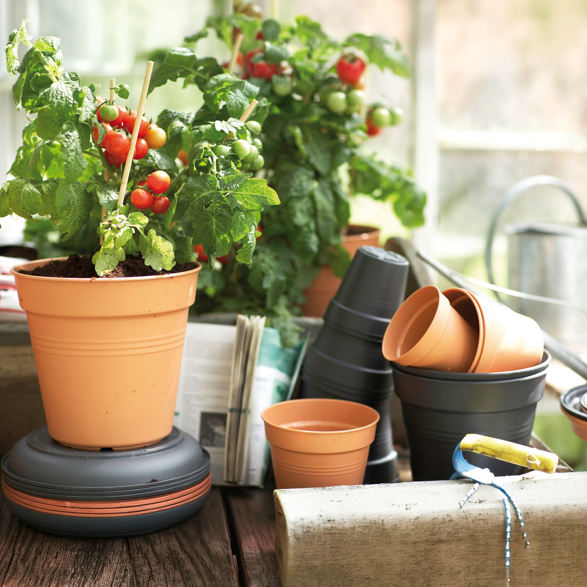 Verkauf Anzuchttopf Green Basics Mild Terra ELHO - 