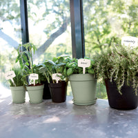 Anzuchttopf Green Basics Mild Terra ELHO -  - Bakker