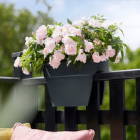 Vibia Campana Flower Bridge Anthrazit ELHO -  - Bakker