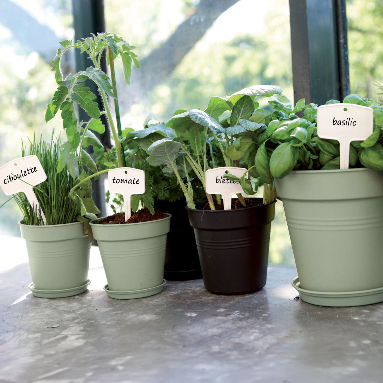  - Untersetzer Green Basics Steingrün ELHO - Außenblumentöpfe