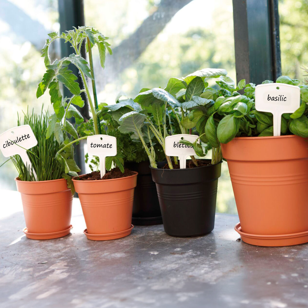  - Untersetzer Green Basics Mild Terra ELHO - Außenblumentöpfe