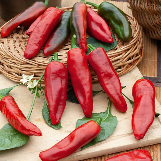 Piment d'Espelette - Bakker