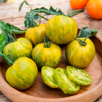 Gemüsepflanzen - Tomate Green Zebra Pflanzen - Solanum lycopersicum green zebra