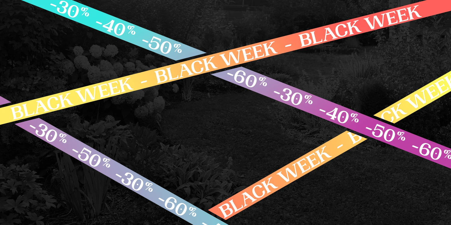 Black Week bis zu 60% Rabatt