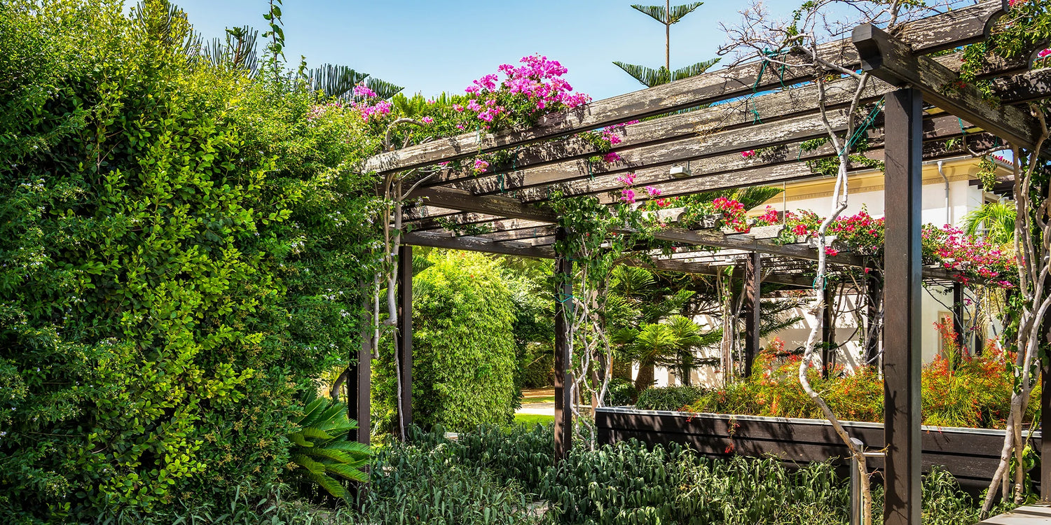 Bis zu 20%: Ein Hauch von Frische für Ihren Garten 