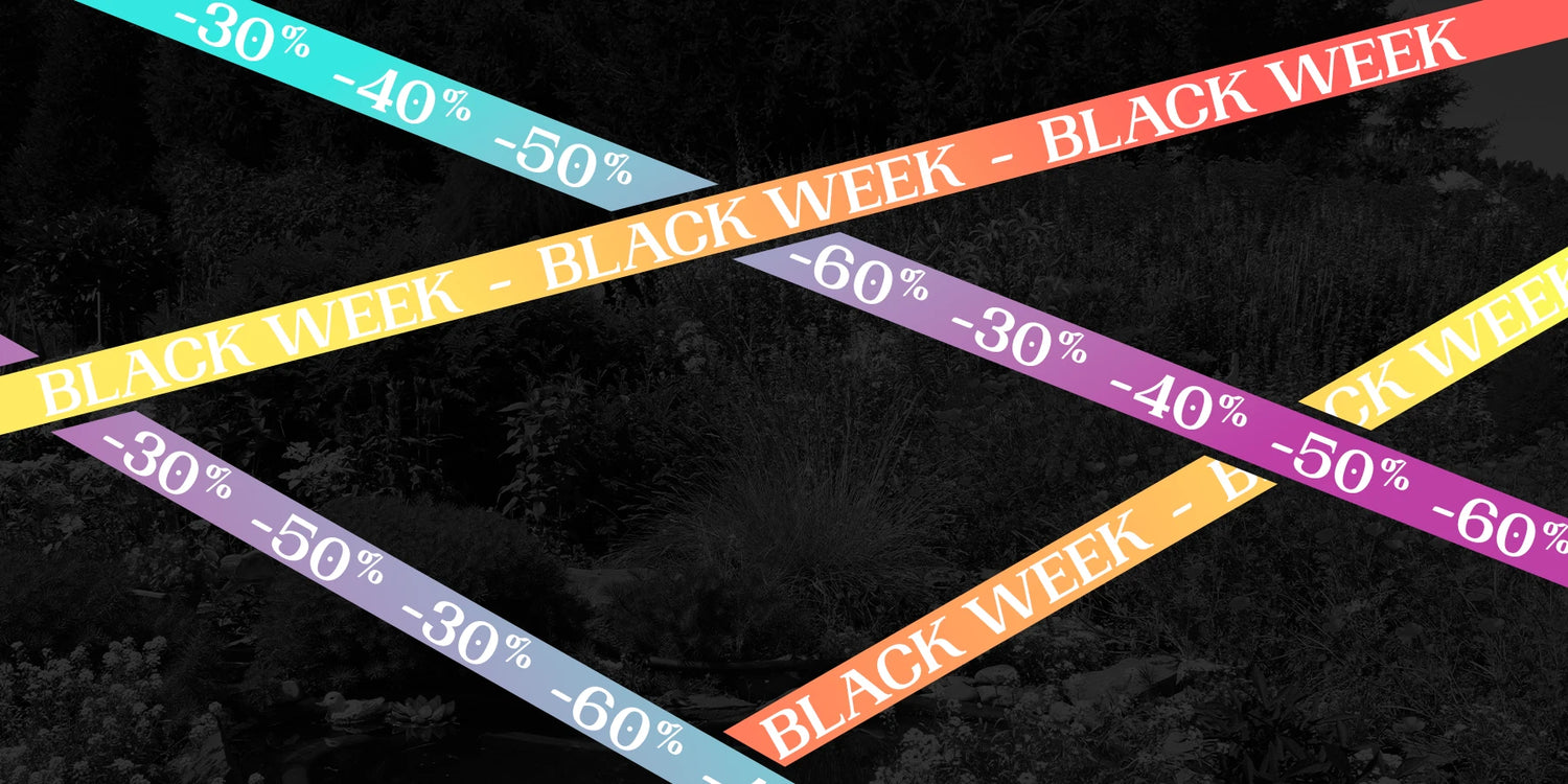 Black Week Deals bis zu 60% Rabatt