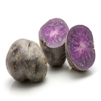 Ulysse-Kartoffeln Bio - Solanum tuberosum ulysse - Bakker
