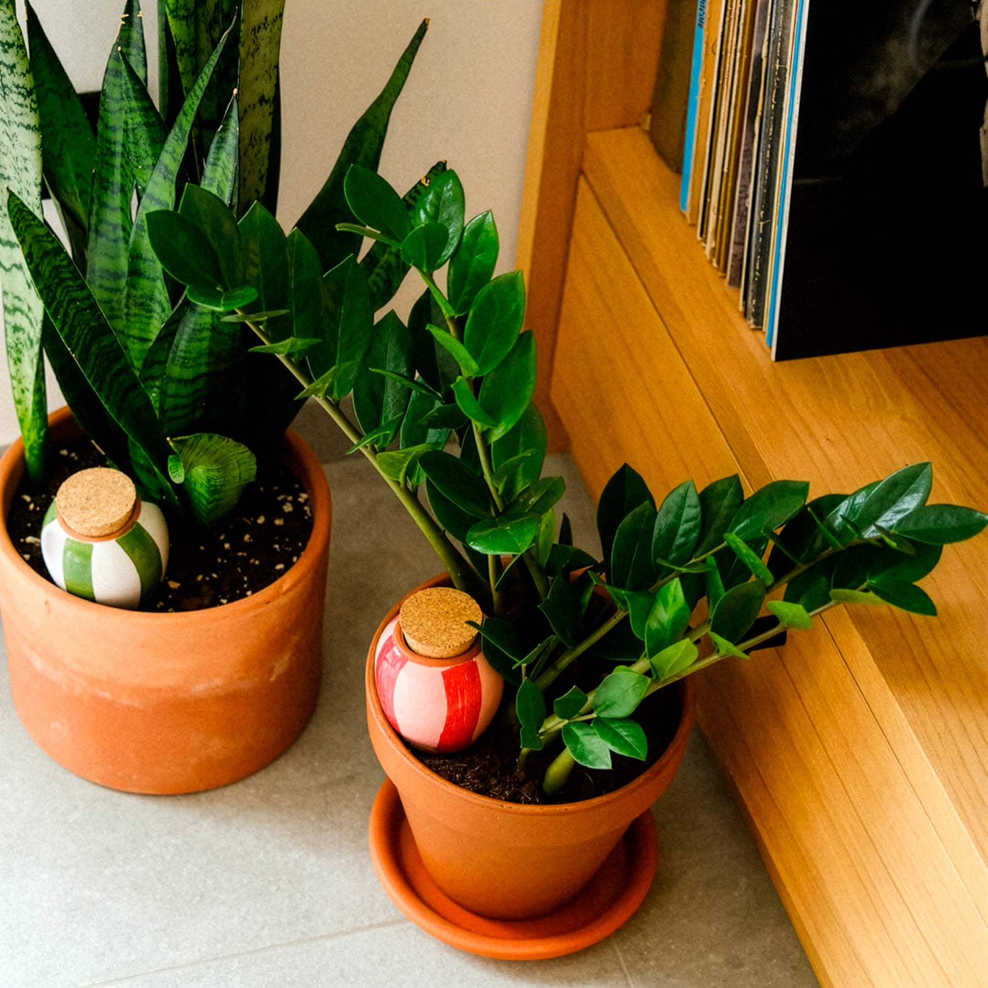 Trio Mini Ollas - Der Gestreifte -  - Bakker