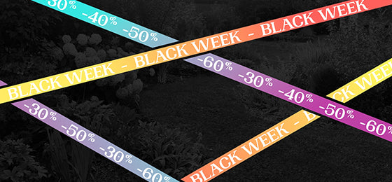 Black Week bis zu 60% Rabatt