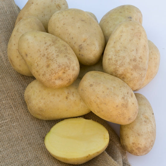 Kartoffel Mona Lisa - Bakker