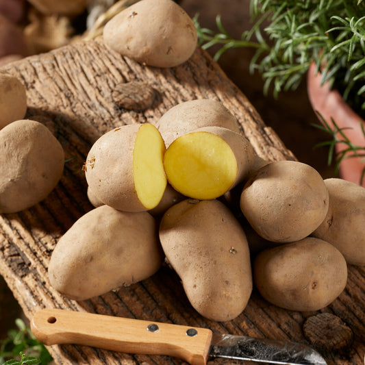 Kartoffel Charlotte - Bakker