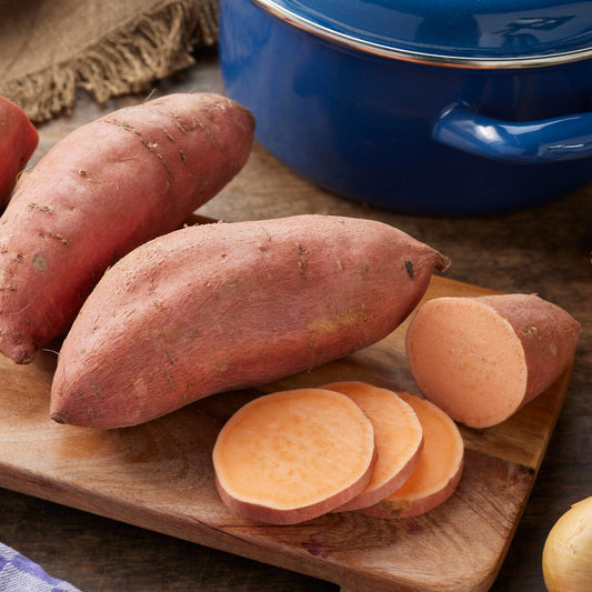 Süßkartoffel - Bakker