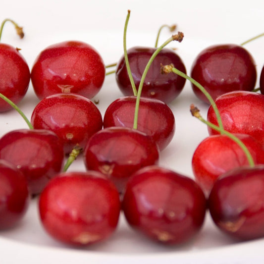 Süßkirsche - Bakker