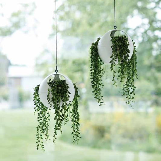 Elho Hängetopf B.for Soft Air rund weiß - Innentopf - Bakker