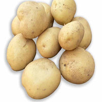 Vitabella-Kartoffeln BIO - Solanum tuberosum vitabella - Kartoffeln