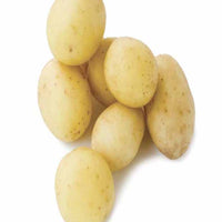 Penni-Kartoffeln - Solanum tuberosum penni - Gemüsegarten