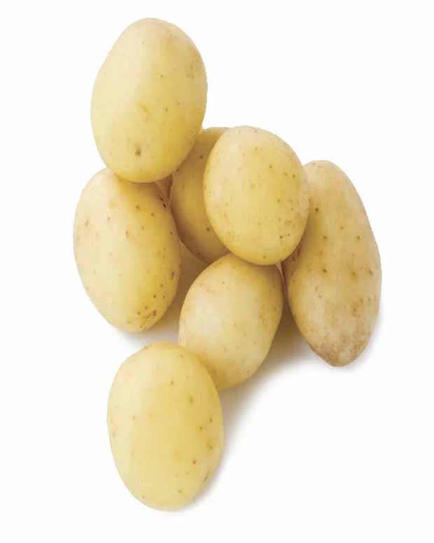 Penni-Kartoffeln - Solanum tuberosum penni - Gemüse