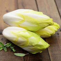 Normaler Chicorée (Gemüseauslese) - Cichorium intybus witloof normale (sélection maraîchère) (60 g) - Gemüsegarten