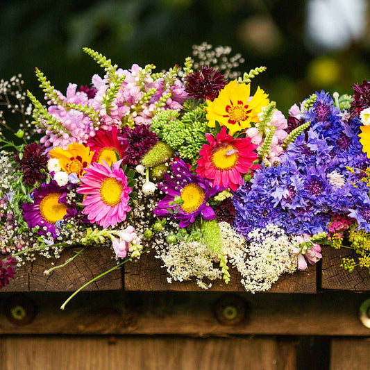 Blumen Saatmatte für Blumenkästen - Bakker