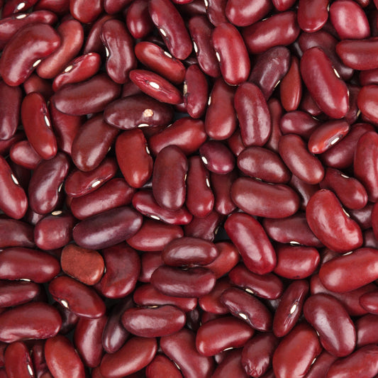 Rote Bohne - Bakker