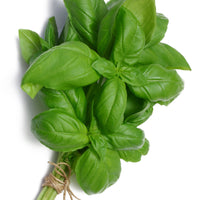 Sammlung von Aromapflanzen (x4) - Basilic, ciboulette, persil, thym - Kräuter