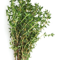 Sammlung von Aromapflanzen (x4) - Basilic, ciboulette, persil, thym
