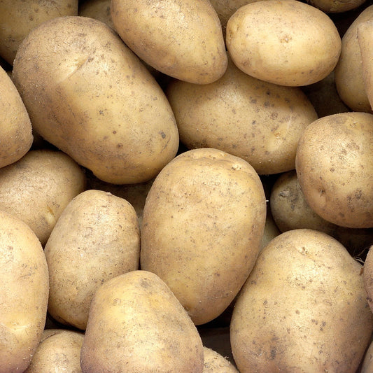 Minette-Kartoffeln - Bakker