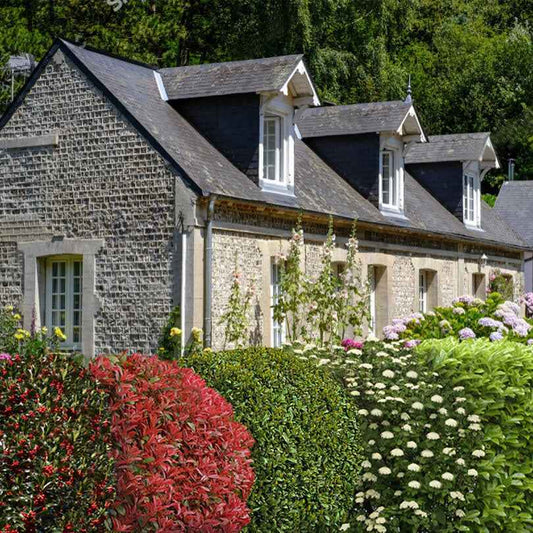 Blatthaltende Hecke Mischung (x5) - Bakker