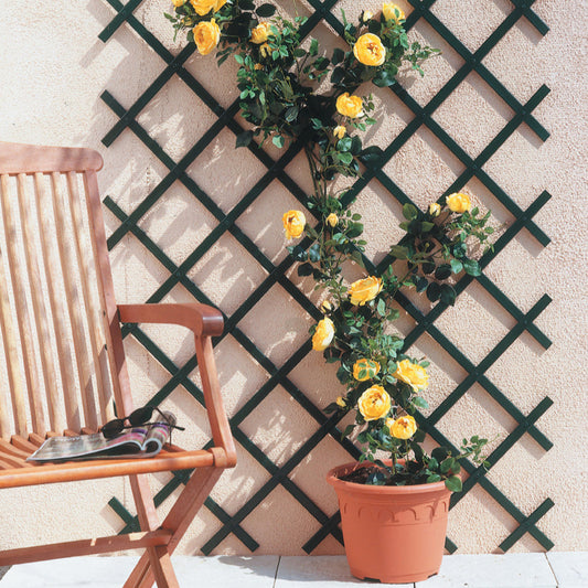 Erweiterbares gartengitter für kletterpflanzen. Inklusive kit zur wandbefestigung - Bakker