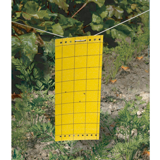 Englutierte Insektenfallen (x5) - Bakker