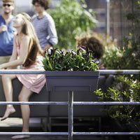 Elho Balkonkasten Loft Urban allin1 rechteckig anthrazit - Bakker