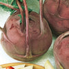 Violet kohlrabi Bio - Bakker