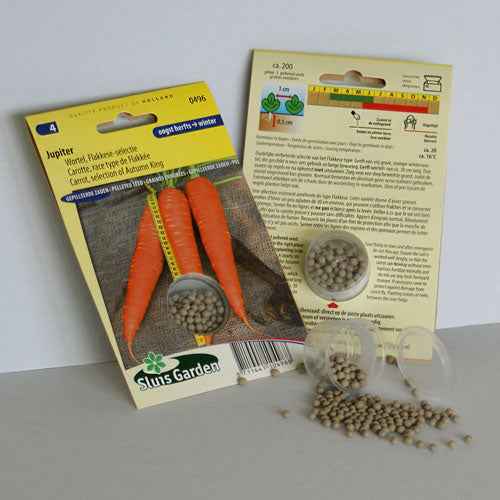 Karotte Jupiter Typ Flakkée - Bakker