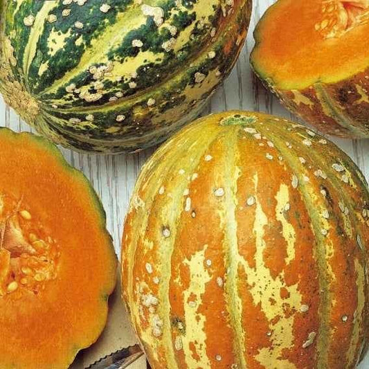 Zuckermelone Oranje Ananas - Bakker