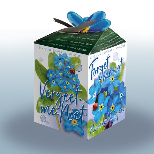 Vergissmeinnicht-Kit Vergissmeinnicht - Bakker