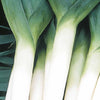 Winterlauch Atlanta Bio - Allium porrum bleu d'hiver atlanta - Gemüsegarten