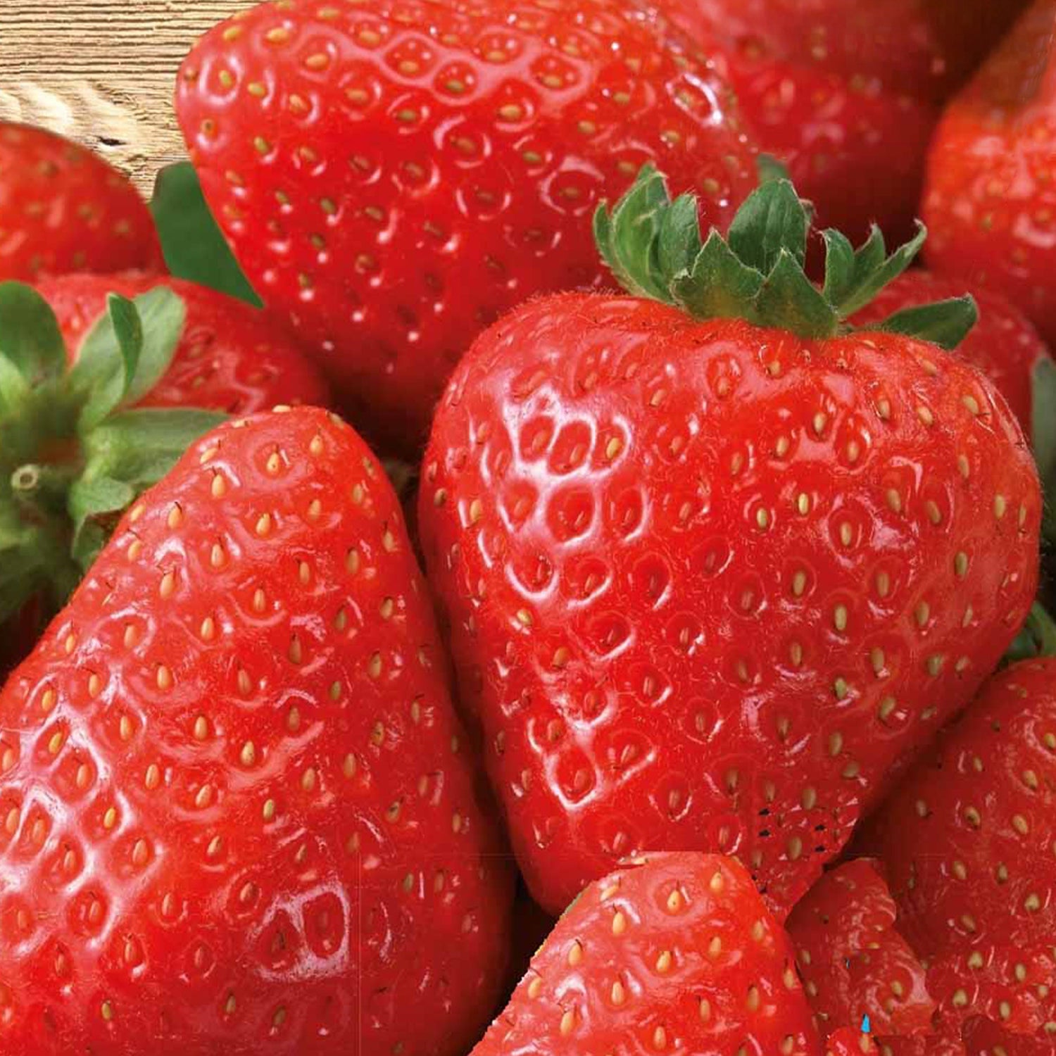 Andere Obst-Saatgüter